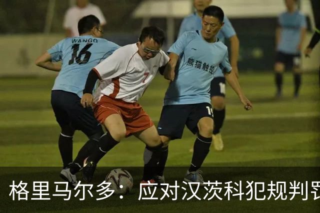 格里马尔多：应对汉茨科犯规判罚进行说明，VAR为何无动于衷？